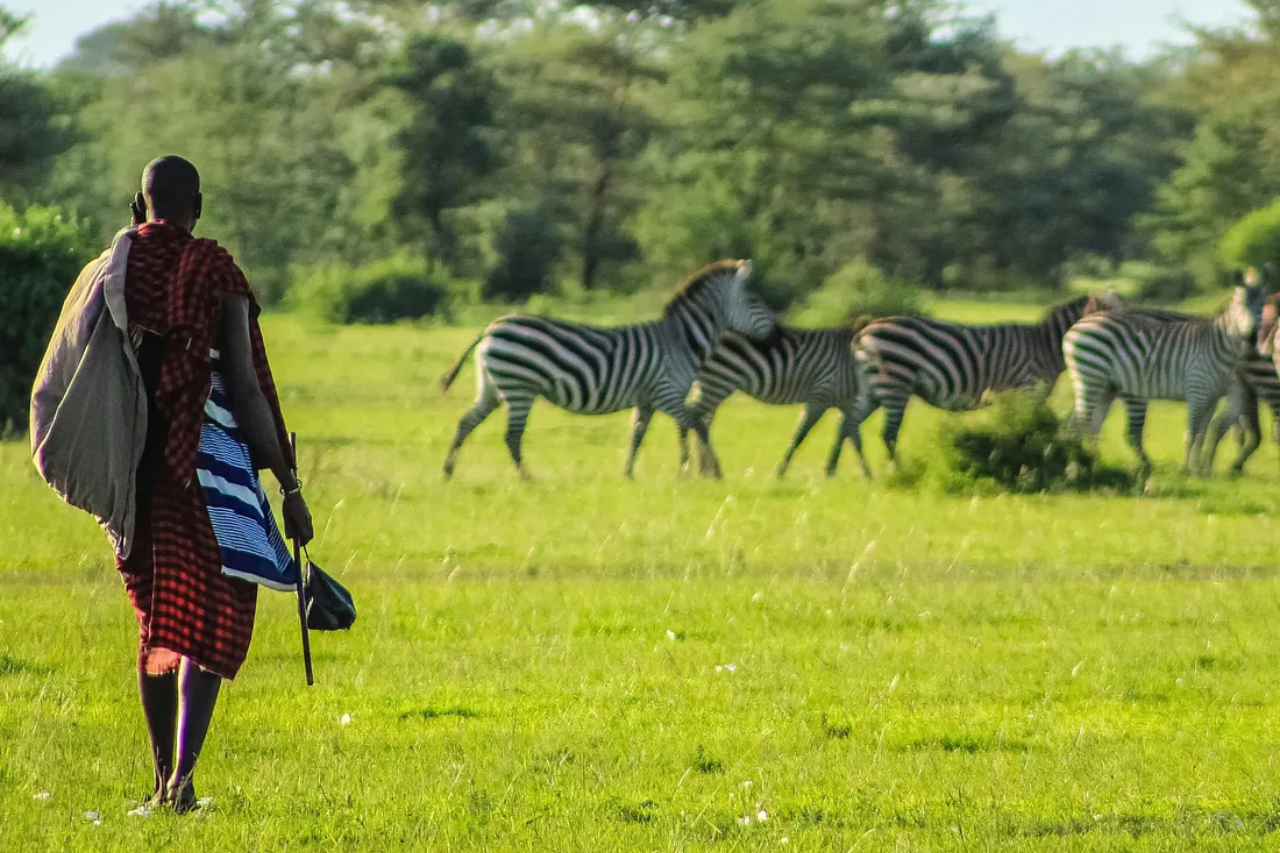 The Best Times to Visit and What to Expect Month by Month